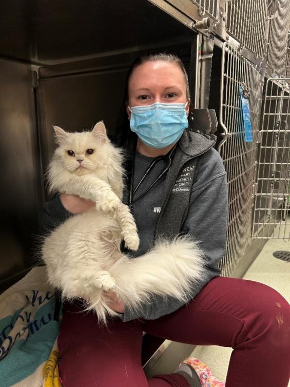 Stella received a Mass Animal Fund voucher to cover a lifesaving pyometra spay surgery at the MSPCA Nevins Farm in Methuen