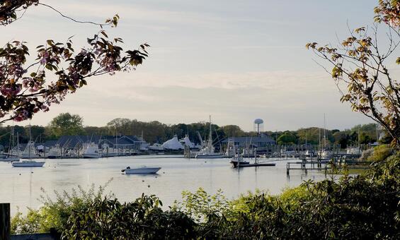 A quiet harbor filled with boats on a calm, summer day
