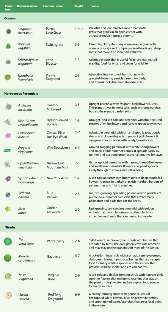 list of plants, characteristics, and values