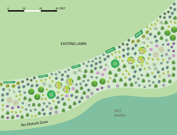 landscape plan for a meadow buffer to salt marsh