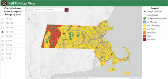 Interactive Foliage Map 
