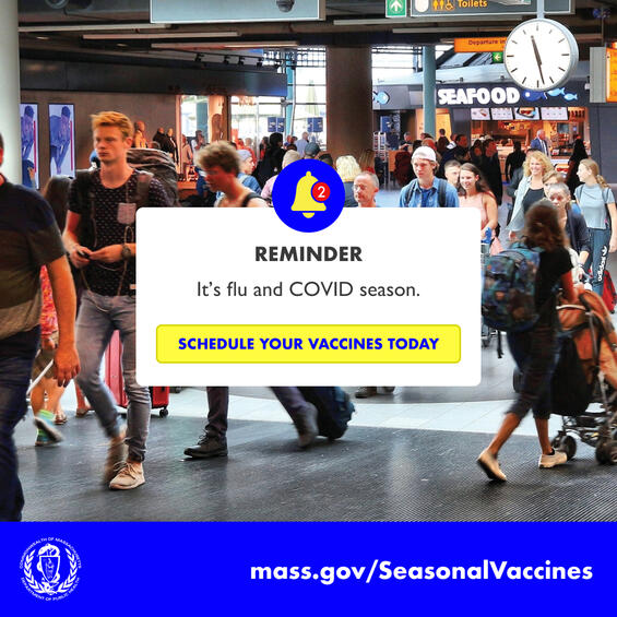 Reminder: it's flu and COVID season.  Schedule your vaccines today. mass.gov/SeasonalVaccines