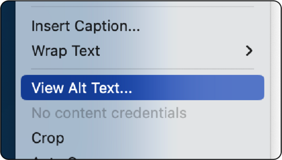 context menu in word when right clicking an image, view alt text highlighted