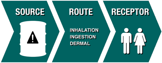 Flow chart showing source, route, then receptor as the exposure process.