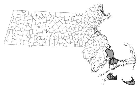 Map showing the distribution of this species in Massachusetts