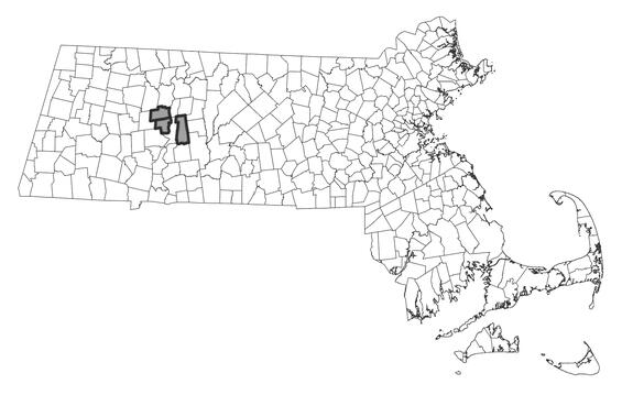 Map showing the distribution of this species in Massachusetts