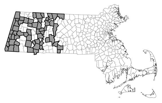 Map showing the distribution of this species in Massachusetts