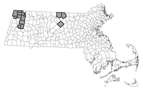 Map showing the distribution of this species in Massachusetts