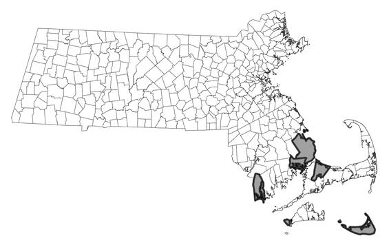 Map showing the distribution of this species in Massachusetts