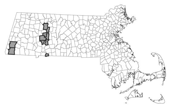 Map showing the distribution of this species in Massachusetts