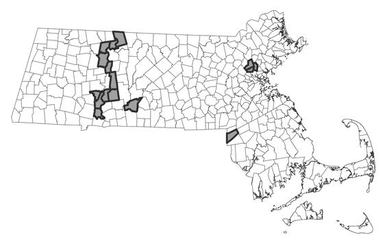 Map showing the distribution of this species in Massachusetts