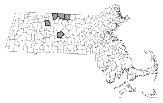 Map showing the distribution of this species in Massachusetts