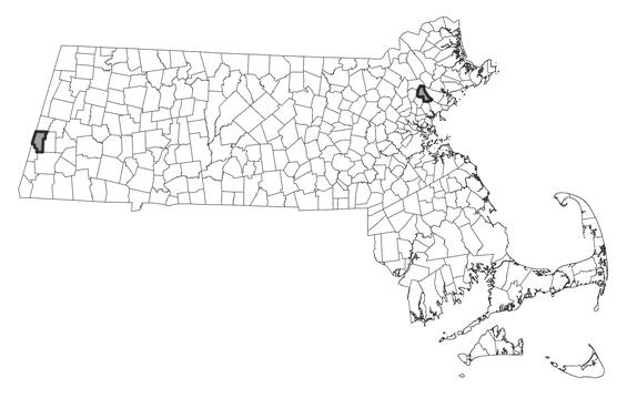 Map showing the distribution of this species in Massachusetts