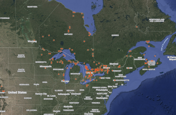 Map of research-grade observations of Carex diandra in eastern North America screen-capture from iNaturalist.org on 15 February 2025.