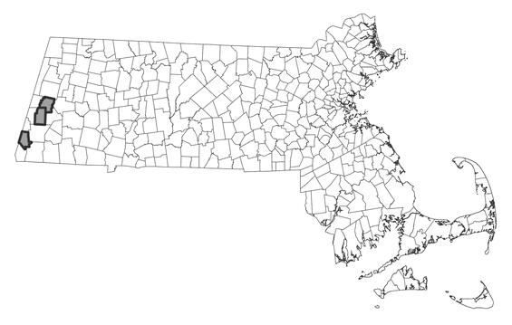 Map showing the distribution of this species in Massachusetts
