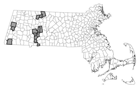 Map showing the distribution of this species in Massachusetts
