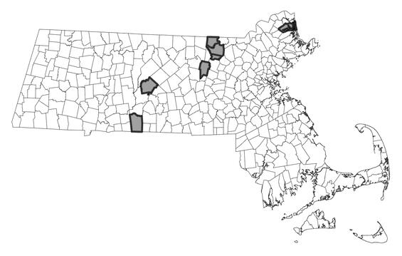Map showing the distribution of this species in Massachusetts