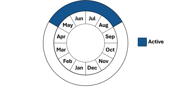 Graphic representation of life cycle, also described in text.