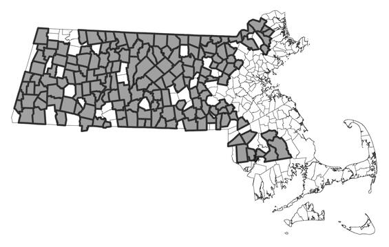 Map showing the distribution of this species in Massachusetts