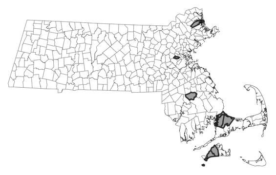 Map showing the distribution of this species in Massachusetts