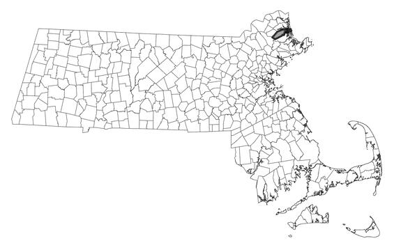 Lasiurus cinereus range map