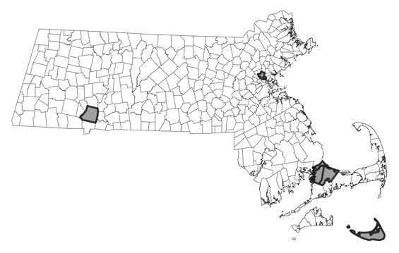 Map showing the distribution of this species in Massachusetts