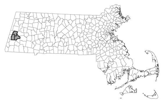 Map showing the distribution of this species in Massachusetts