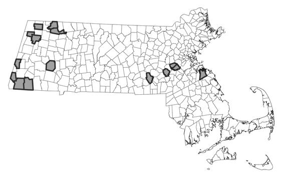 Perimyotis subflavus range map
