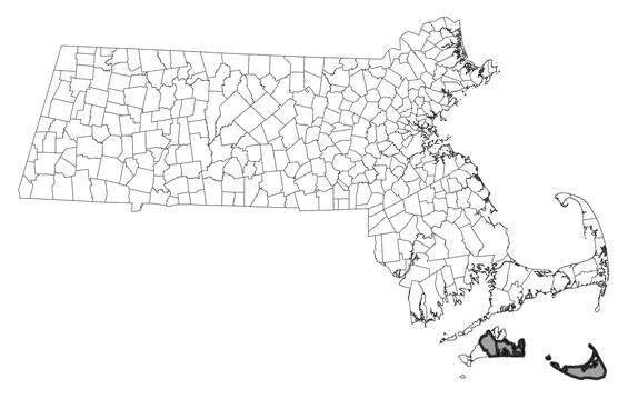Ptichodis bistrigata range map