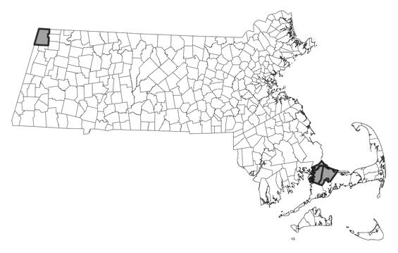 Map showing the distribution of this species in Massachusetts