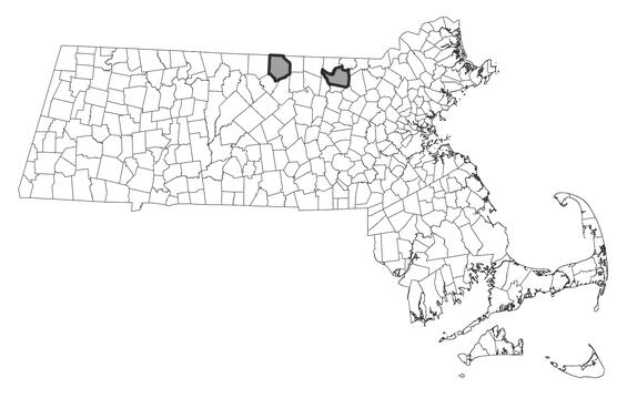 Map showing the distribution of this species in Massachusetts