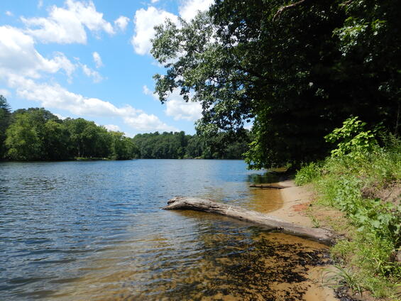 Lake habitat typical for eastern pondmussel.