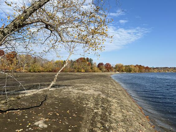 Exposed riverbed as a result of regulated streamflows.