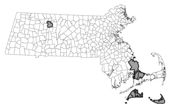 Map showing the distribution of this species in Massachusetts