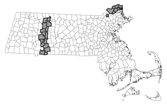 Map showing the distribution of this species in Massachusetts