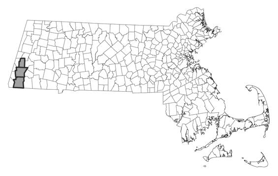 Map showing the distribution of this species in Massachusetts