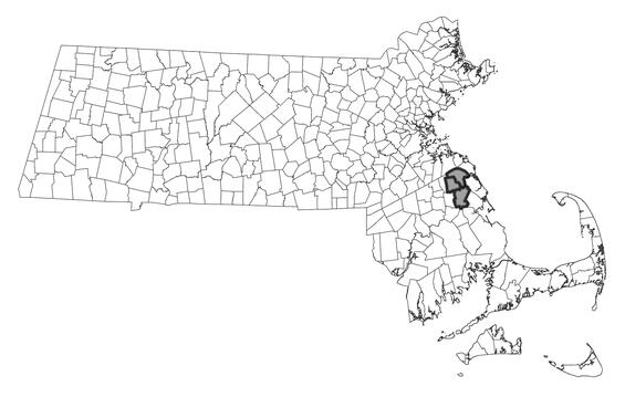 Map showing the distribution of this species in Massachusetts