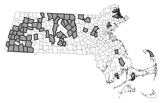 Map showing the distribution of this species in Massachusetts