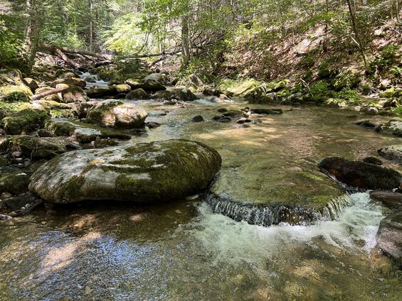 appalachian brook crayfish habitat
