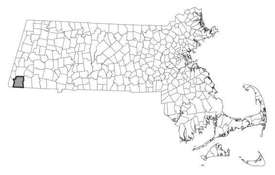 Map showing the distribution of this species in Massachusetts