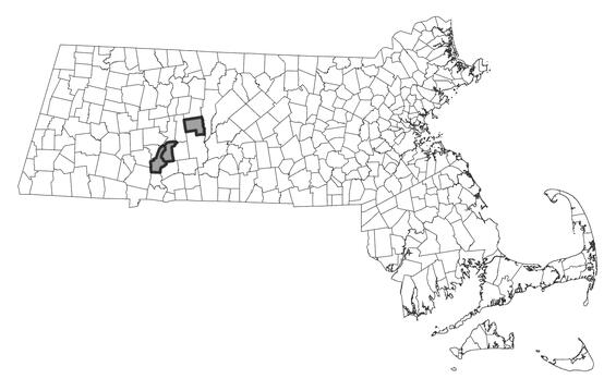 Map showing the distribution of this species in Massachusetts