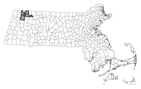 Map showing the distribution of this species in Massachusetts