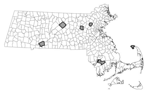 Map showing the distribution of this species in Massachusetts