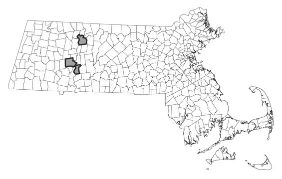 Map showing the distribution of this species in Massachusetts