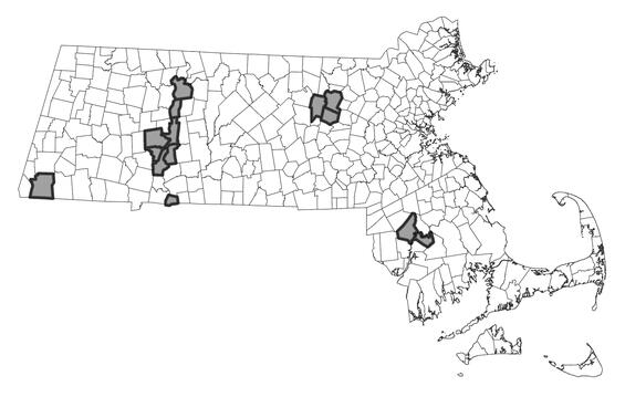 Map showing the distribution of this species in Massachusetts