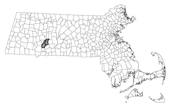 Map showing the distribution of this species in Massachusetts