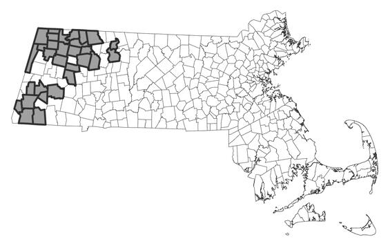 Map showing the distribution of this species in Massachusetts