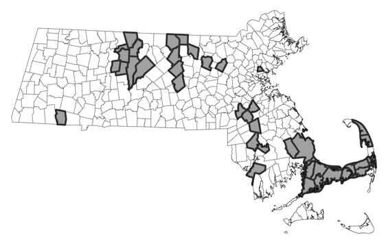 Map showing the distribution of this species in Massachusetts