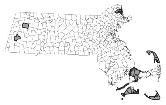 Map showing the distribution of this species in Massachusetts
