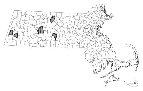 Map showing the distribution of this species in Massachusetts